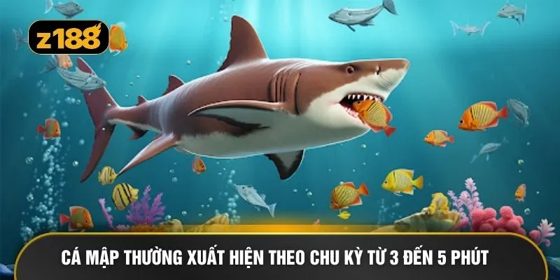 Cá mập thường xuất hiện theo chu kỳ từ 3 đến 5 phút