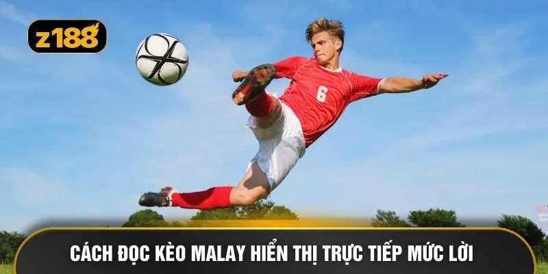 Cách đọc kèo Malay hiển thị trực tiếp mức lời