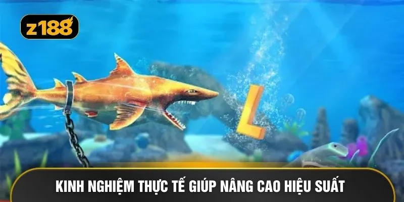 Kinh nghiệm thực tế giúp nâng cao hiệu suất