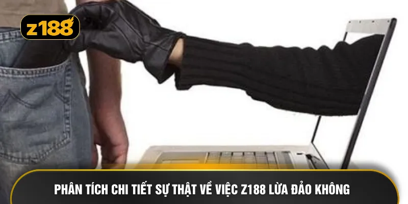 Phân tích chi tiết sự thật về việc Z188 lừa đảo không